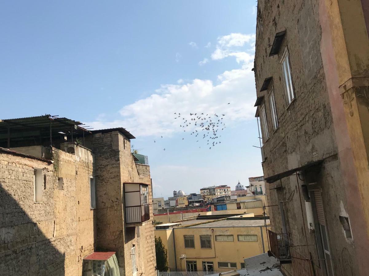 Casa Maurano Villa Napoli Esterno foto